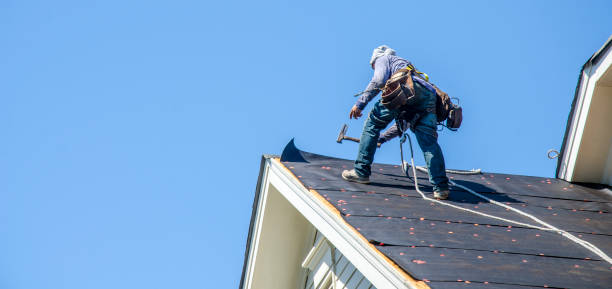 Best Roof Restoration Services  in Ellenville, NY